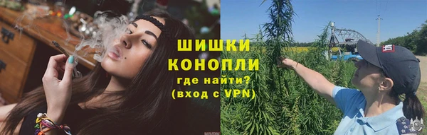 крисы Гусь-Хрустальный