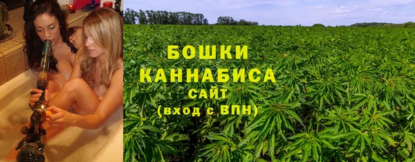 крисы Гусь-Хрустальный