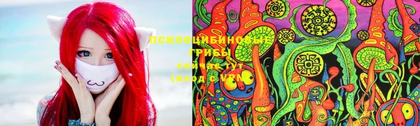 крисы Гусь-Хрустальный