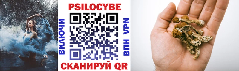 Галлюциногенные грибы Psilocybe Магадан